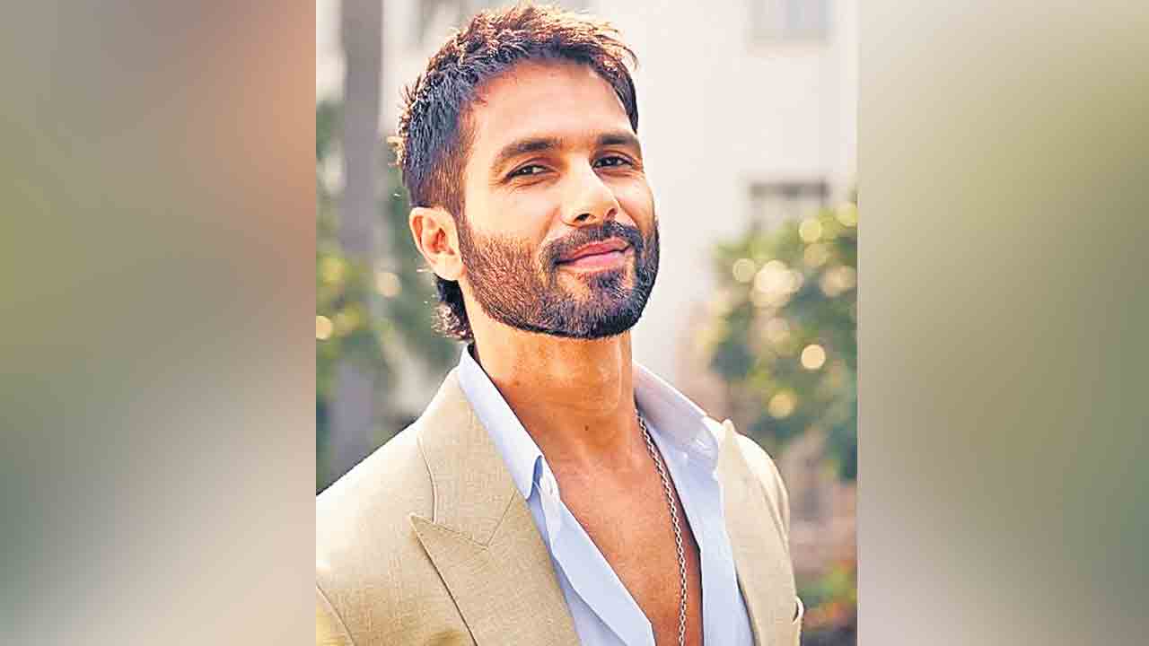 స్పిరిట్‌లో కబీర్‌సింగ్‌?