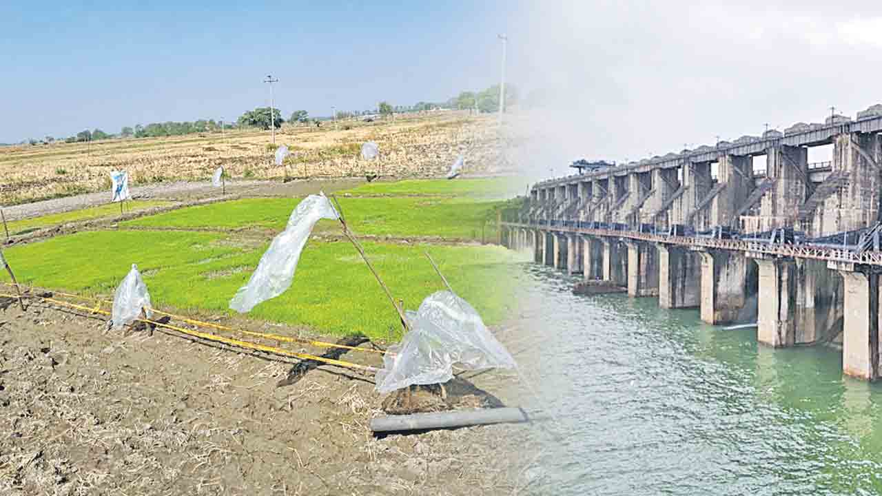 ఆయకట్టు రైతు అయోమయం !