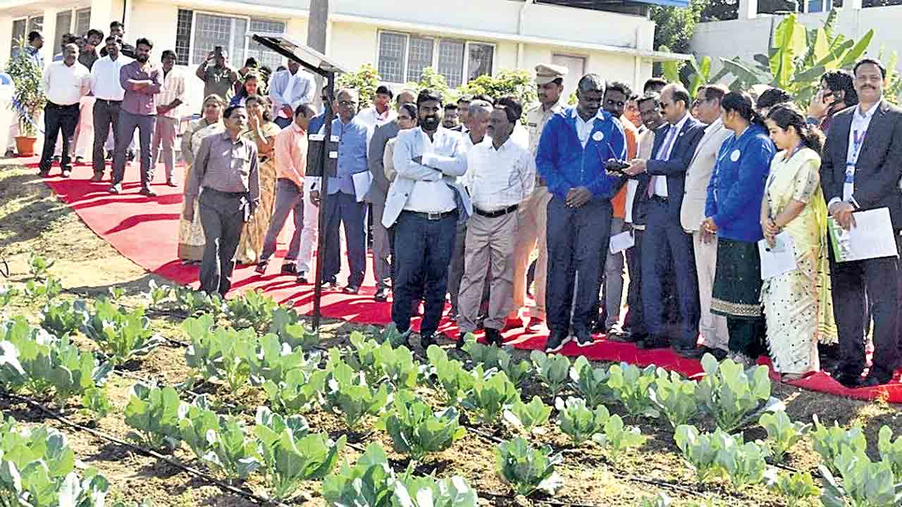 వ్యవసాయానికి ఏఐ జోష్‌