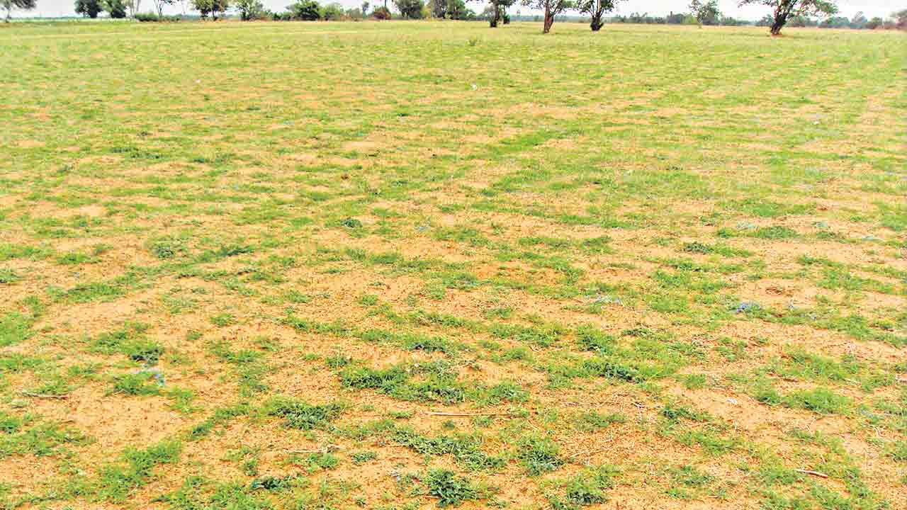 ఎట్లిచ్చిన తెలంగాణను ఎట్ల జేసిన్రు?