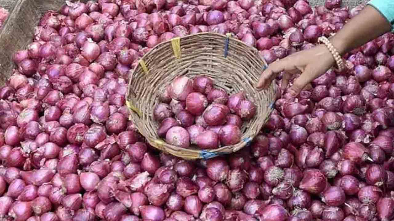 198 కిలోల ఉల్లికి రూ.22.. బీజేపీ పాలిత మహారాష్ట్రలో రైతు దుస్థితి