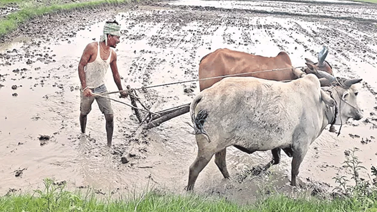 రైతులకు మేలుచేసే పరిశోధనలపై దృష్టిపెట్టాలి