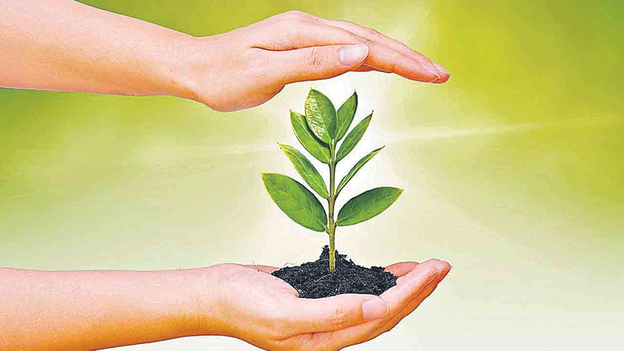 నత్తనడకన వన మహోత్సవం.. లక్ష్యానికి ఆమడదూరంలో కార్యక్రమం