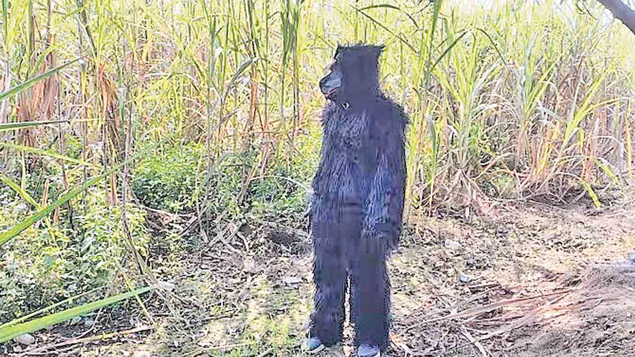 ఎలుగుబంట్ల వేషంలో రైతన్నలు