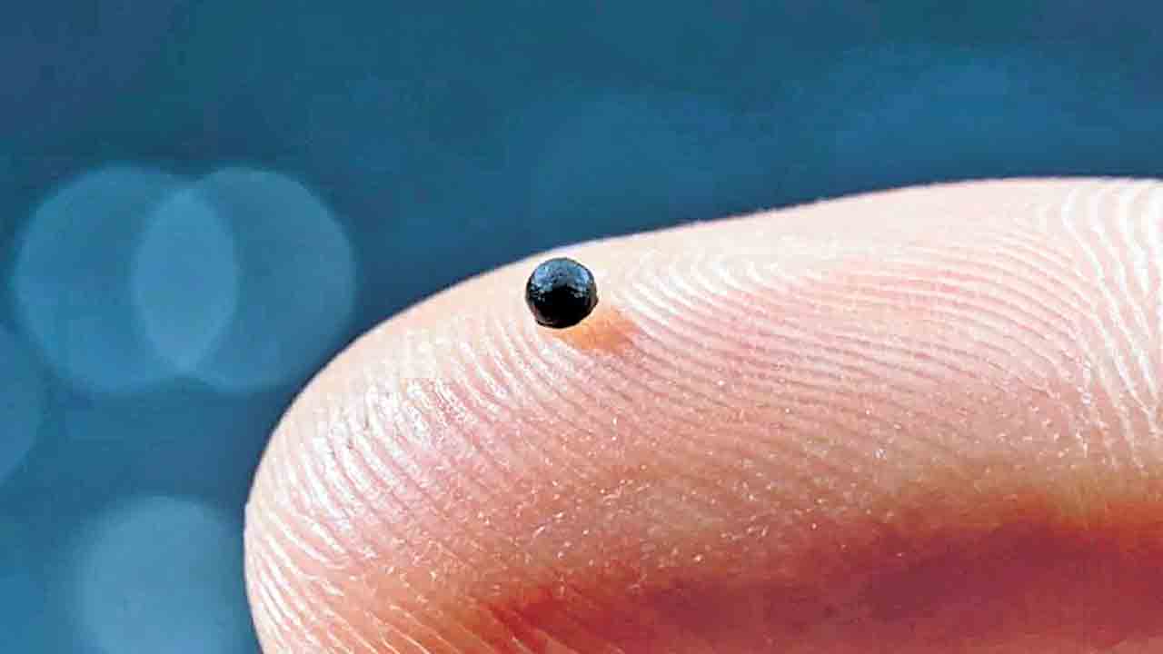 బ్లడ్‌లో తిరిగే బుల్లి రోబోలు