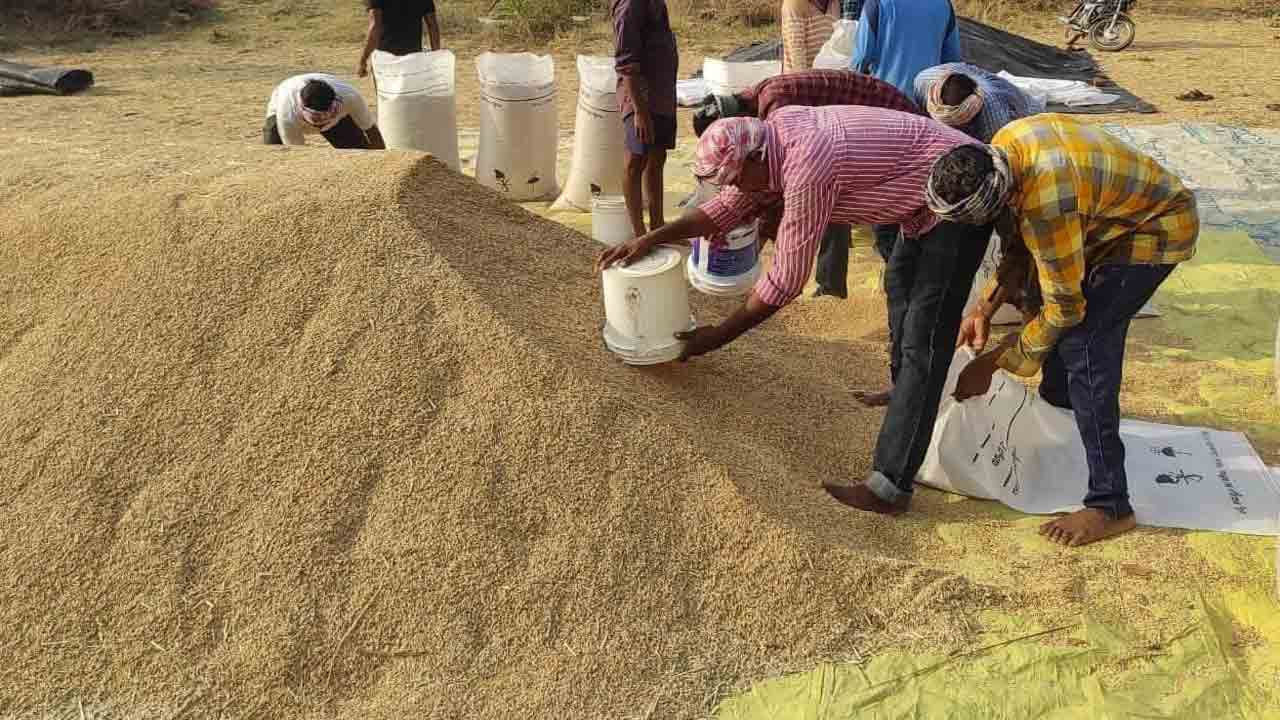 దిగుబడి తలకిందులు