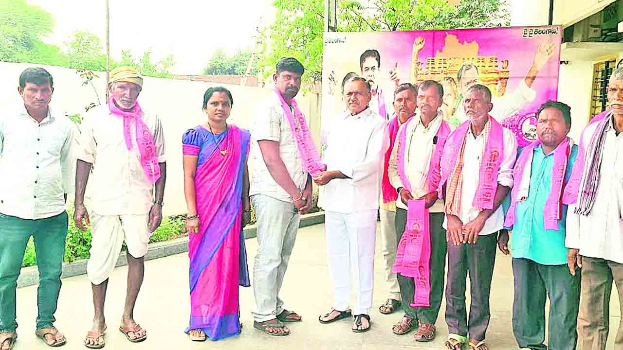 సొంత గూటికి వస్తున్న వలస పక్షులు