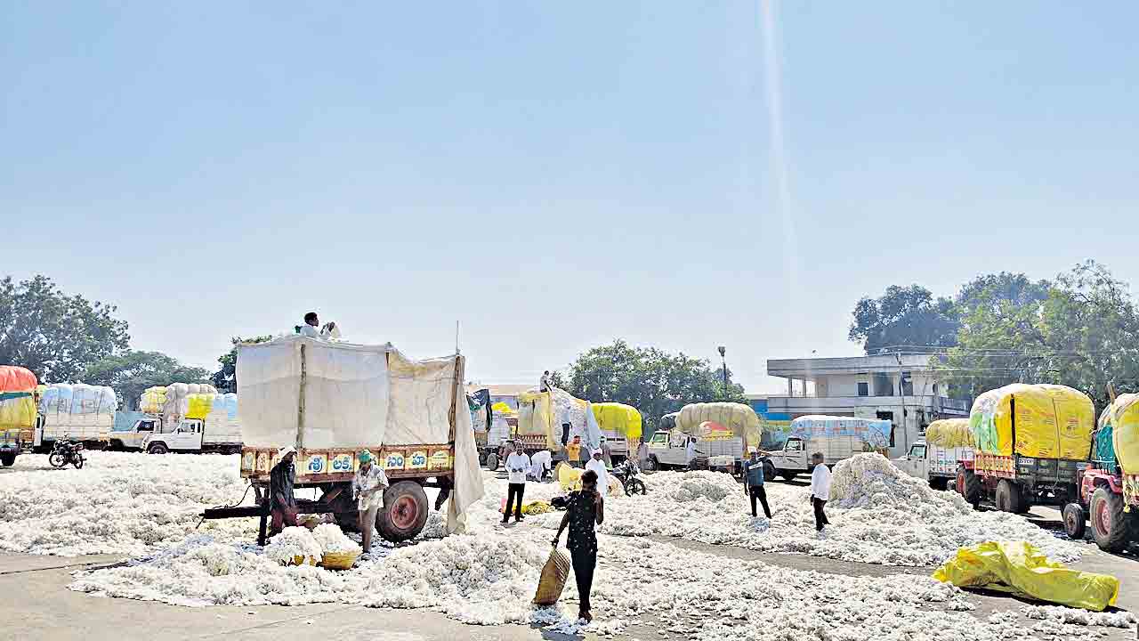 పత్తి రైతుకు ఇన్సెంటివ్‌ కరువు