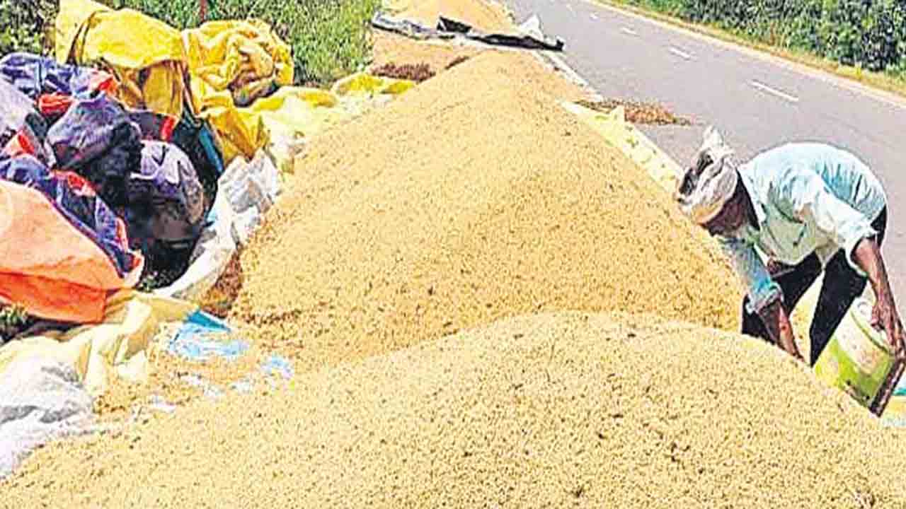Soybean | సోయాను మేం కొనలేం..మీరే కొనండి.. చేతులెత్తేసిన రాష్ట్ర సర్కారు