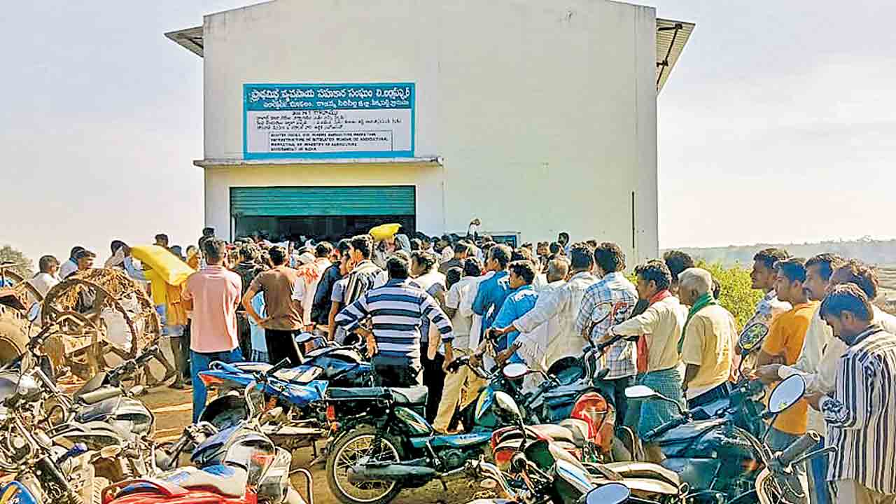 Urea App | మళ్లీ మొదలైన యూరియా కష్టాలు.. యాప్‌, యూరియా కార్డులు పనిచేయక అన్నదాతల అవస్థలు