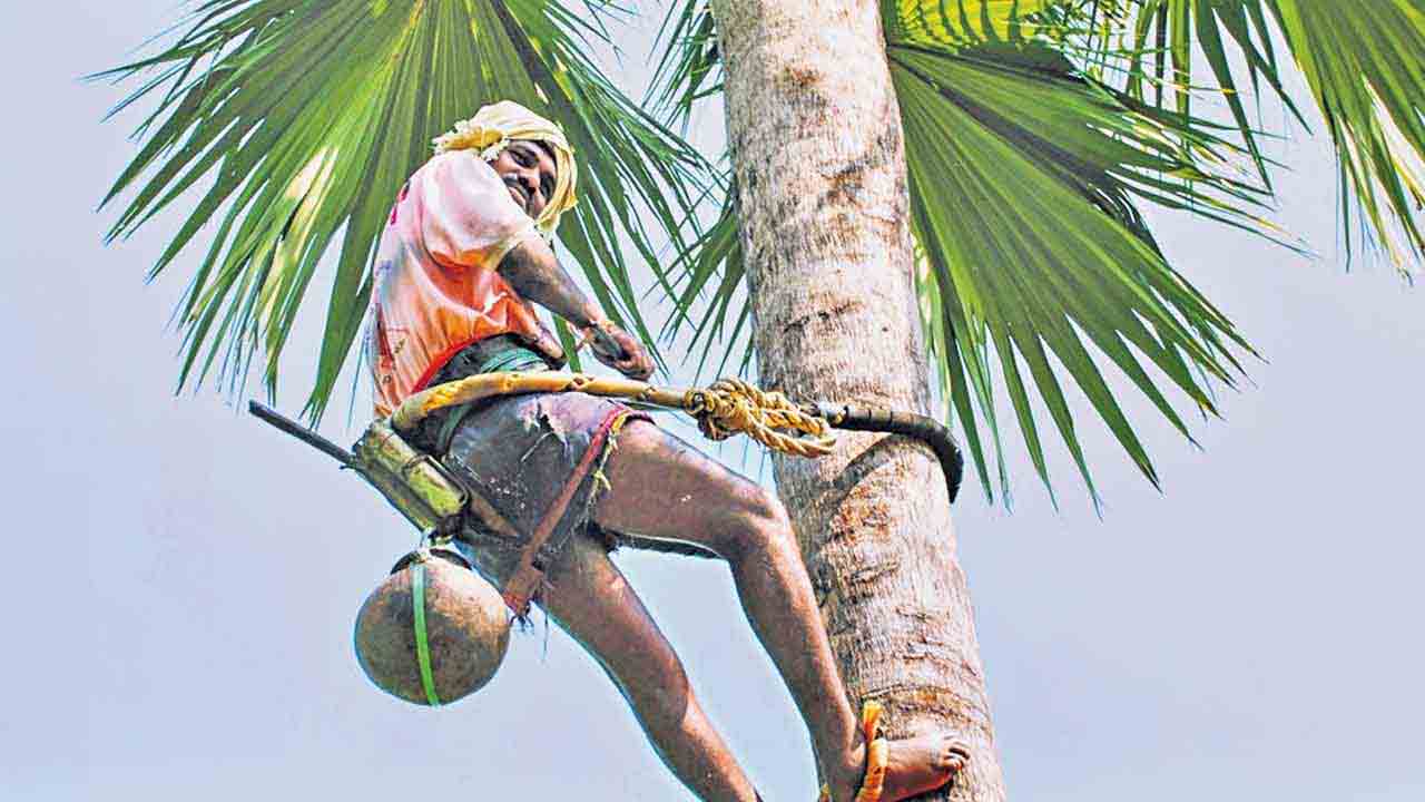 గీతకార్మికులకు కాటమయ్య రక్షణ కిట్లేవి?