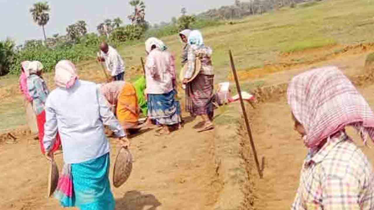 జీఆర్‌ఏఎంజీ బిల్లును ఉపసంహరించాలి : డీహెచ్‌పీఎస్‌