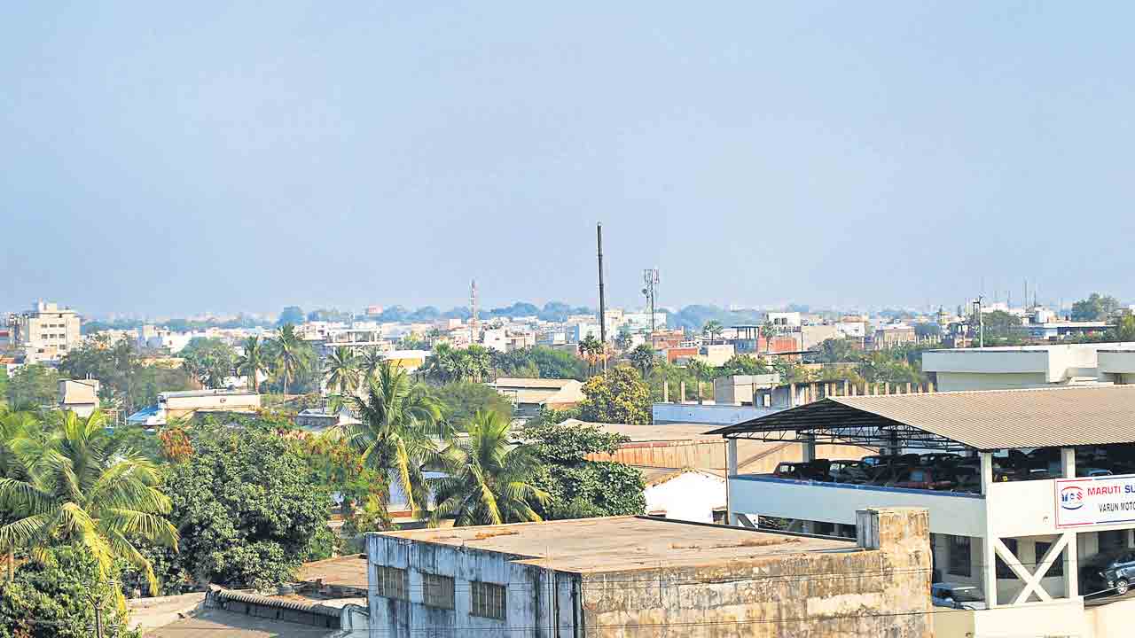 బొల్లారం తెల్లముఖం