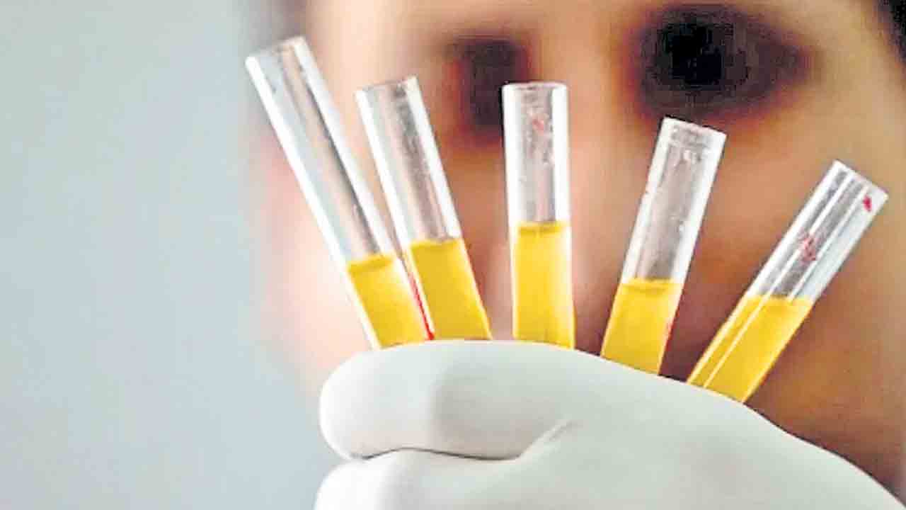 ల్యాబ్‌లో గోల్డెన్‌ బ్లడ్‌ తయారీ!