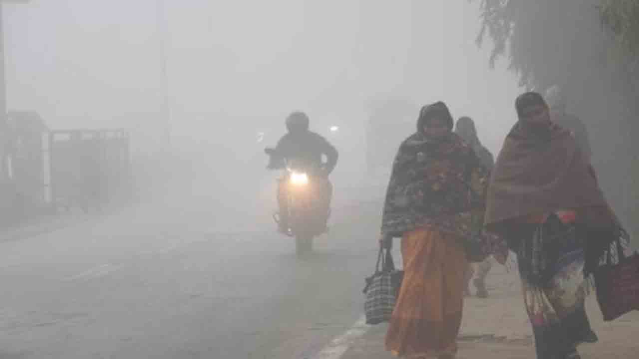 Cold Wave | డిసెంబర్ 31 దాకా కోల్డ్ వేవ్.. అప్రమత్తంగా ఉండాలని రాష్ట్ర ప్రజలకు ఐఎండీ వార్నింగ్