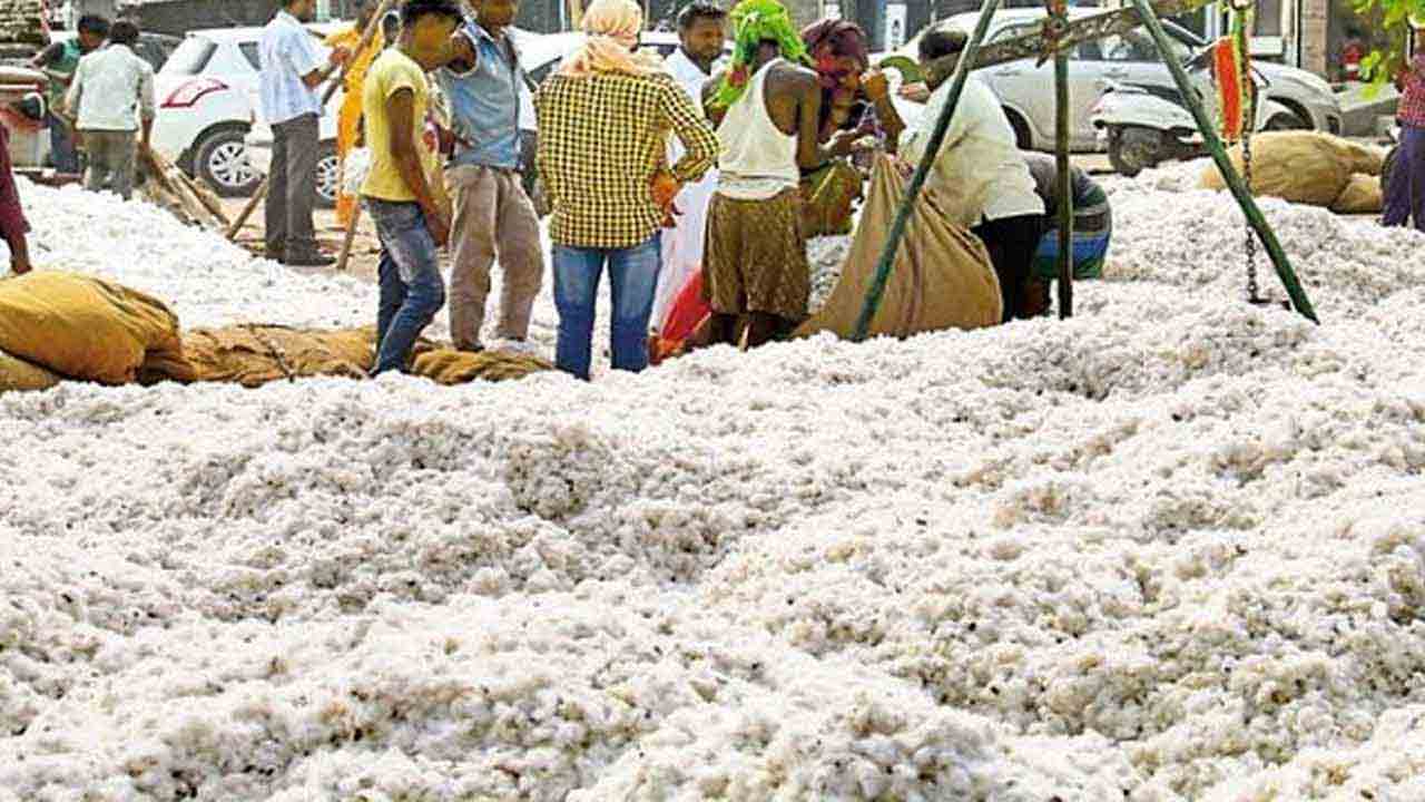 330 జిన్నింగ్‌ మిల్లుల్లో పత్తి కొనుగోళ్లు ప్రారంభం