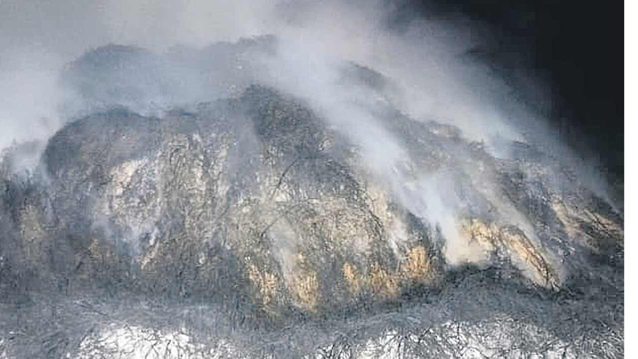 రౌడీ రాజకీయాలు..!