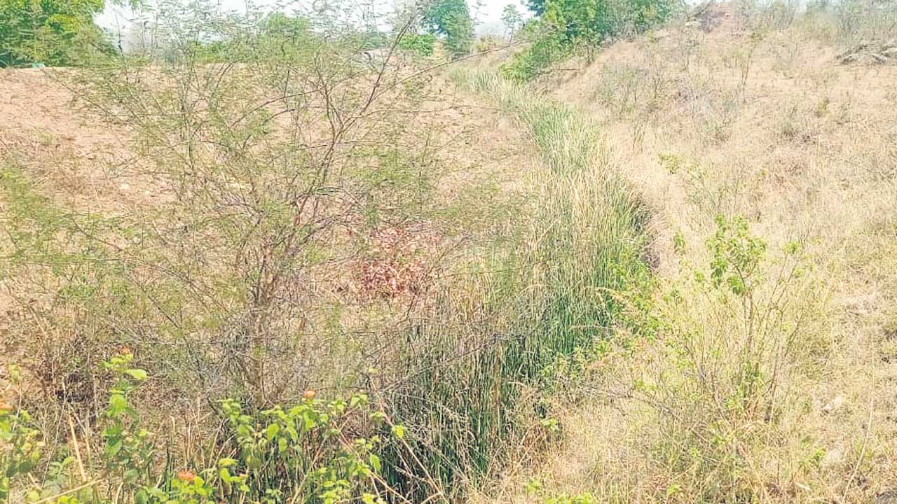 సాగు ప్రశ్నార్థకం!