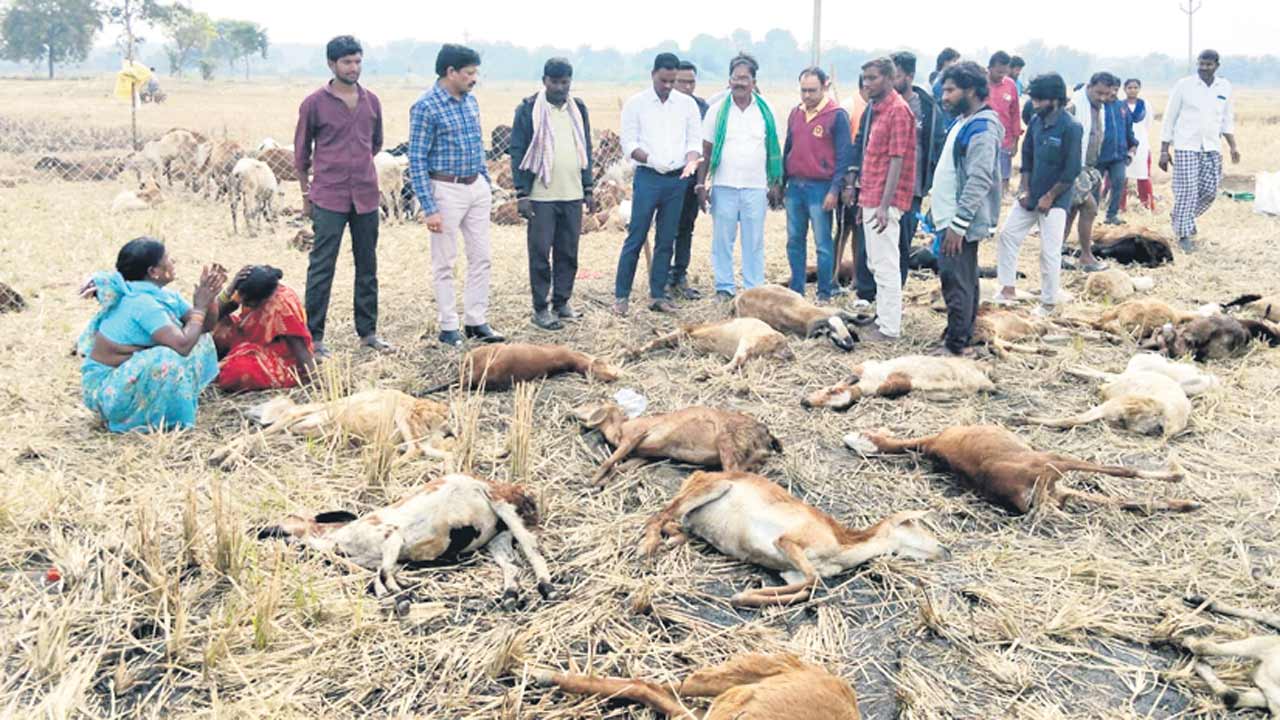 మేమెట్లా బతికేది దేవుడా..!