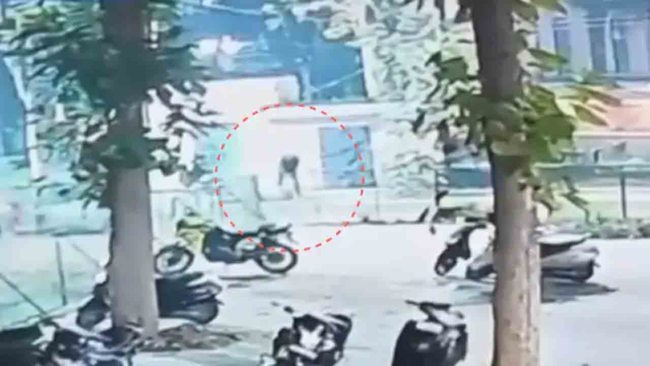 Watch: చనిపోయిన తర్వాత కూడా.. టీచర్‌ తలపై కాల్చుతూనే ఉన్న దుండగులు