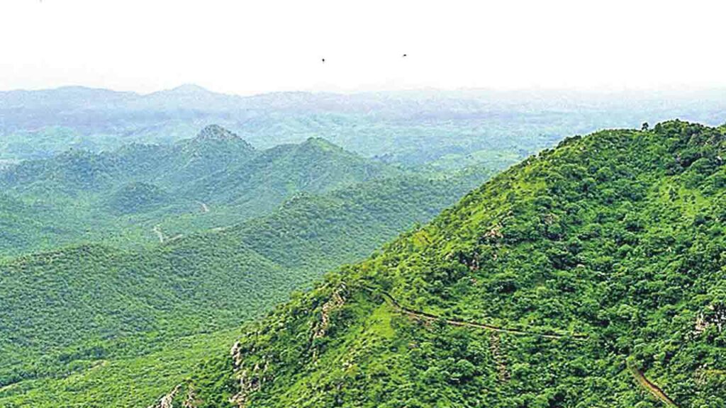 Aravalli Green Wall Project