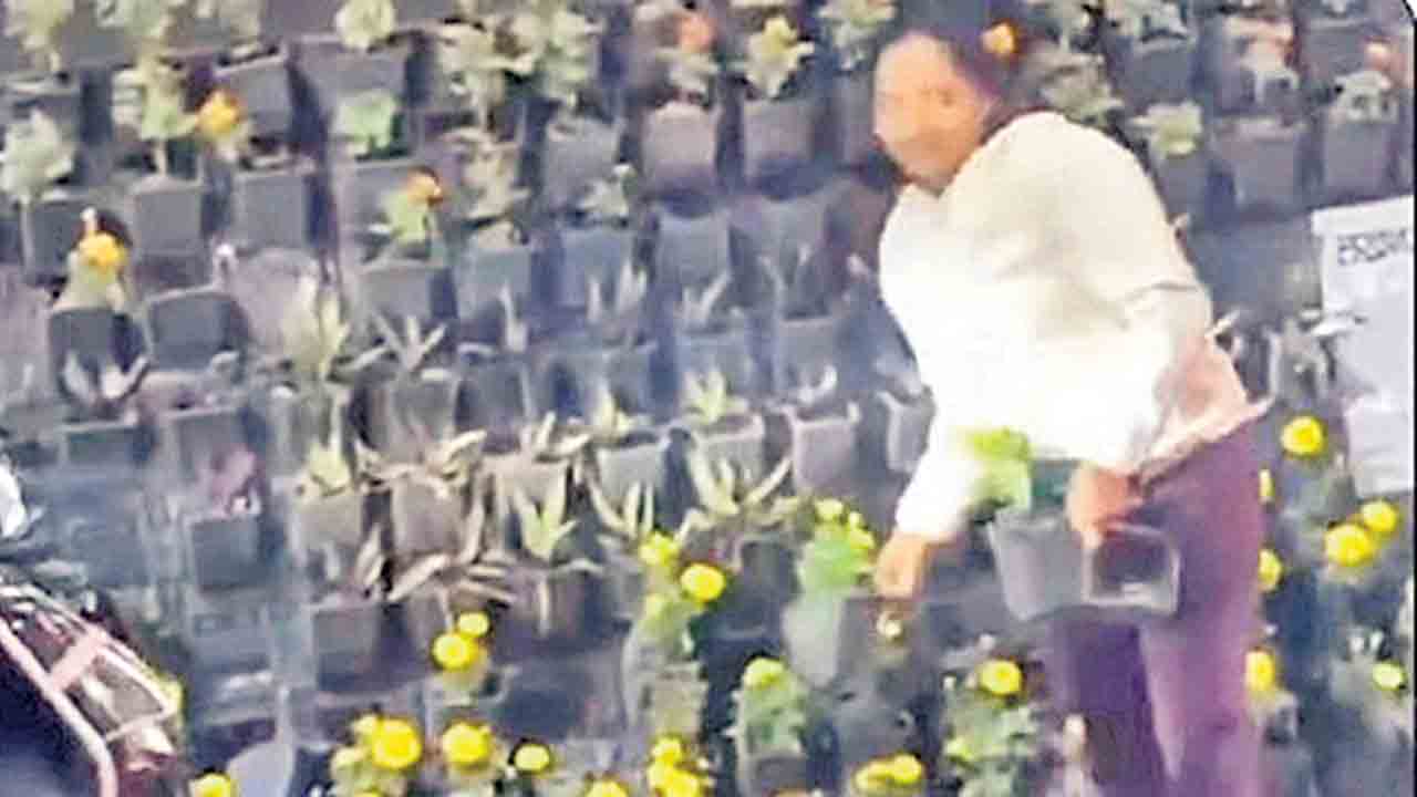 మోదీ సభలో సమోసాల కోసం గొడవ