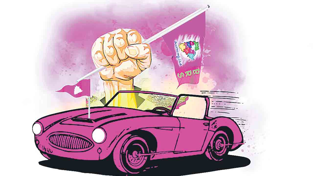 గులాబీ దూకుడు