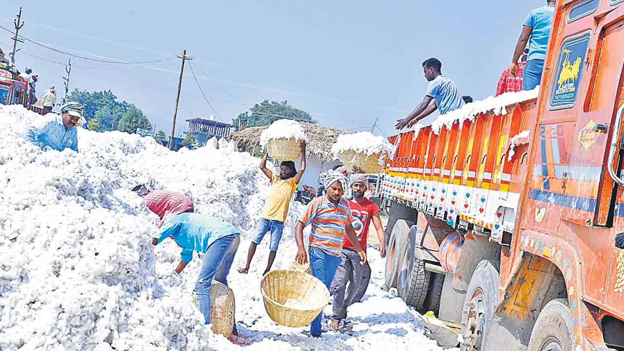 అదనపు పత్తి కొనుగోలుకు అనుమతి