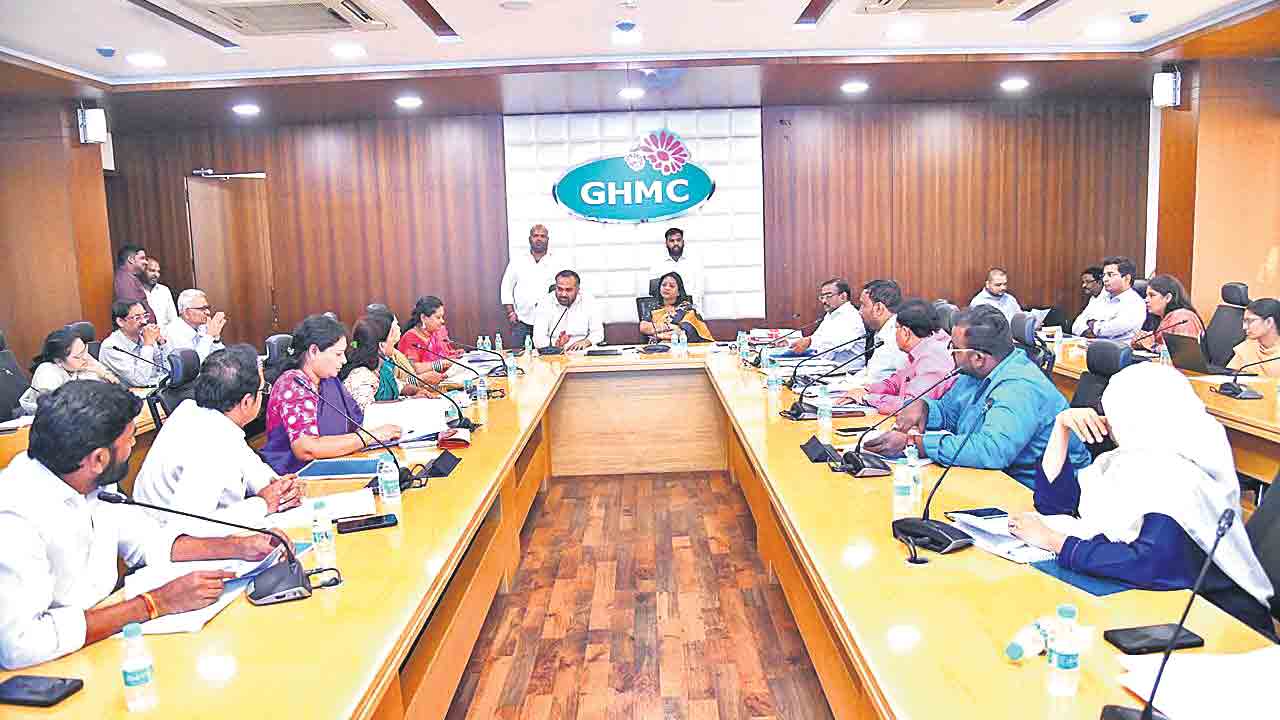 విలాసాలకు స్టడీ రంగు!