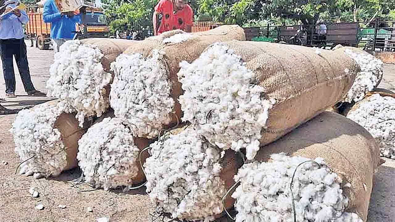 పత్తి కొనుగోళ్లలో బౌండరీ దందా?.. రాష్ట్రం యూనిట్‌గా పత్తి విక్రయాలను నిలిపేసిన సీసీఐ