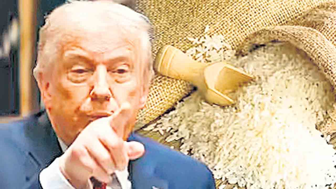 Donald Trump | భారత్‌ బియ్యంపై అదనపు సుంకాలు.. అమెరికా అధ్యక్షుడు ట్రంప్‌ హెచ్చరిక