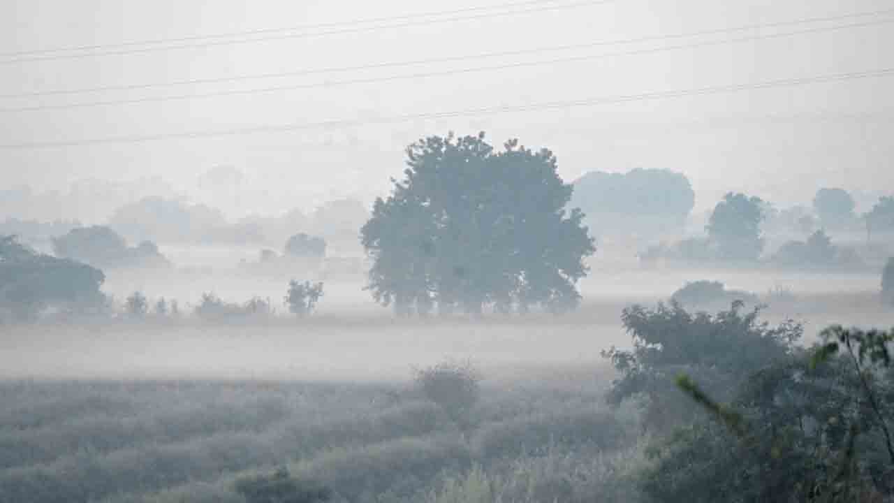 ఉమ్మడి ఆదిలాబాద్‌ జిల్లాను వణికిస్తున్న చలి.. 5 డిగ్రీలకు పడిపోయిన ఉష్ణోగ్రతలు