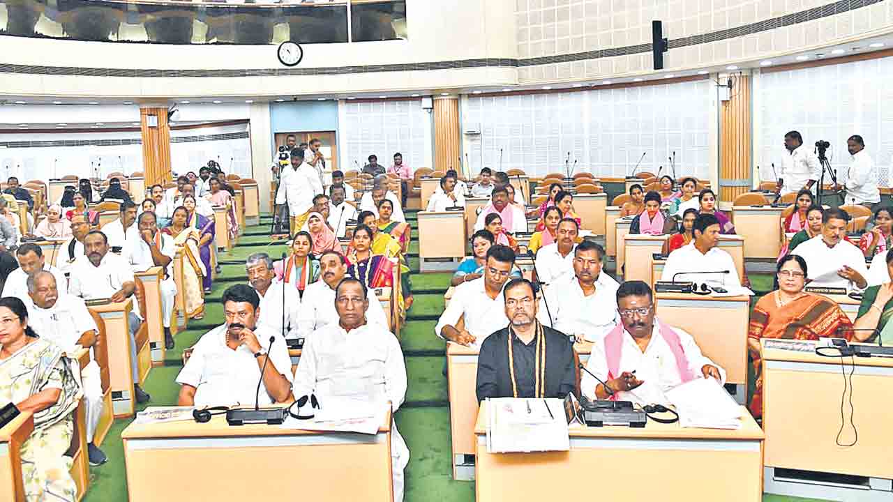 డీలిమిటేషన్‌.. అడ్డగోలుగా వార్డుల విభజనపై సభ్యుల ఆగ్రహం