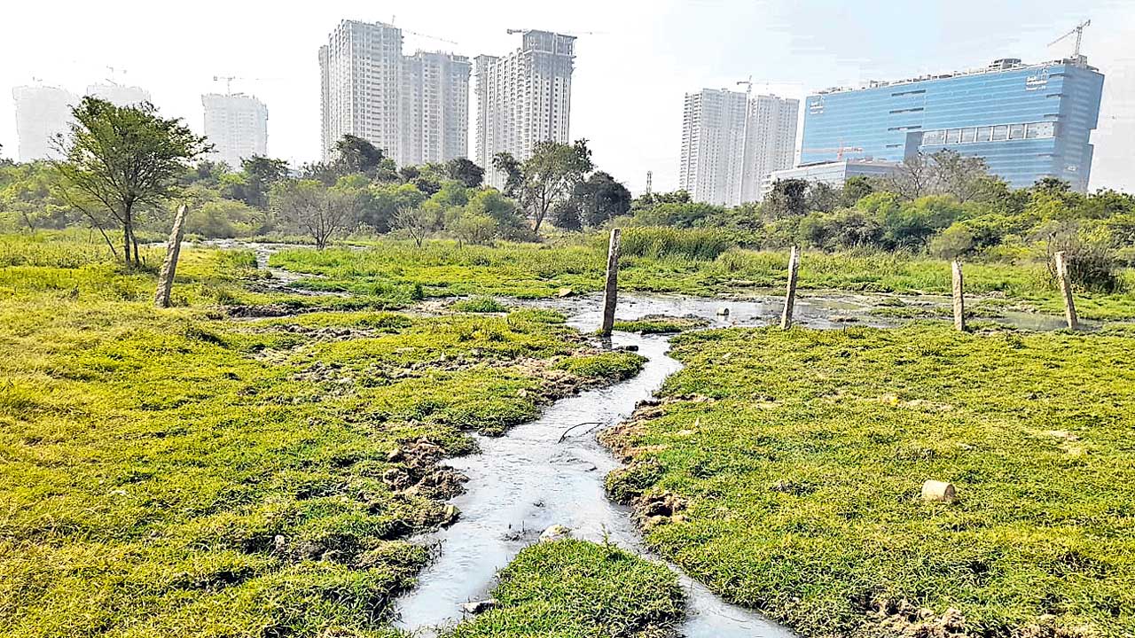 కాలుష్య కోరల్లో ఖాళీ స్థలాలు