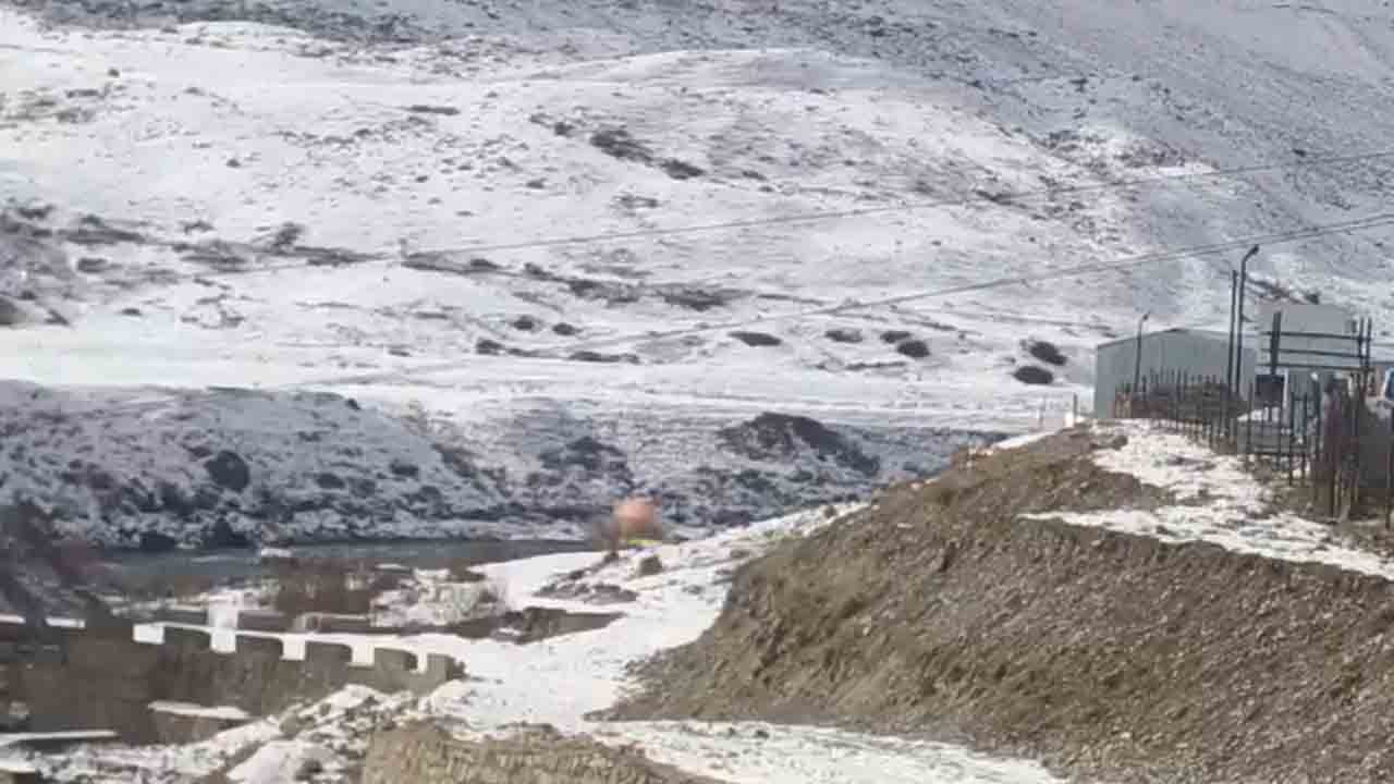 Hand grenade | లడఖ్‌లో పాత హ్యాండ్‌ గ్రెనేడ్‌ కలకలం.. ధ్వంసం చేసిన ఆర్మీ.. Video