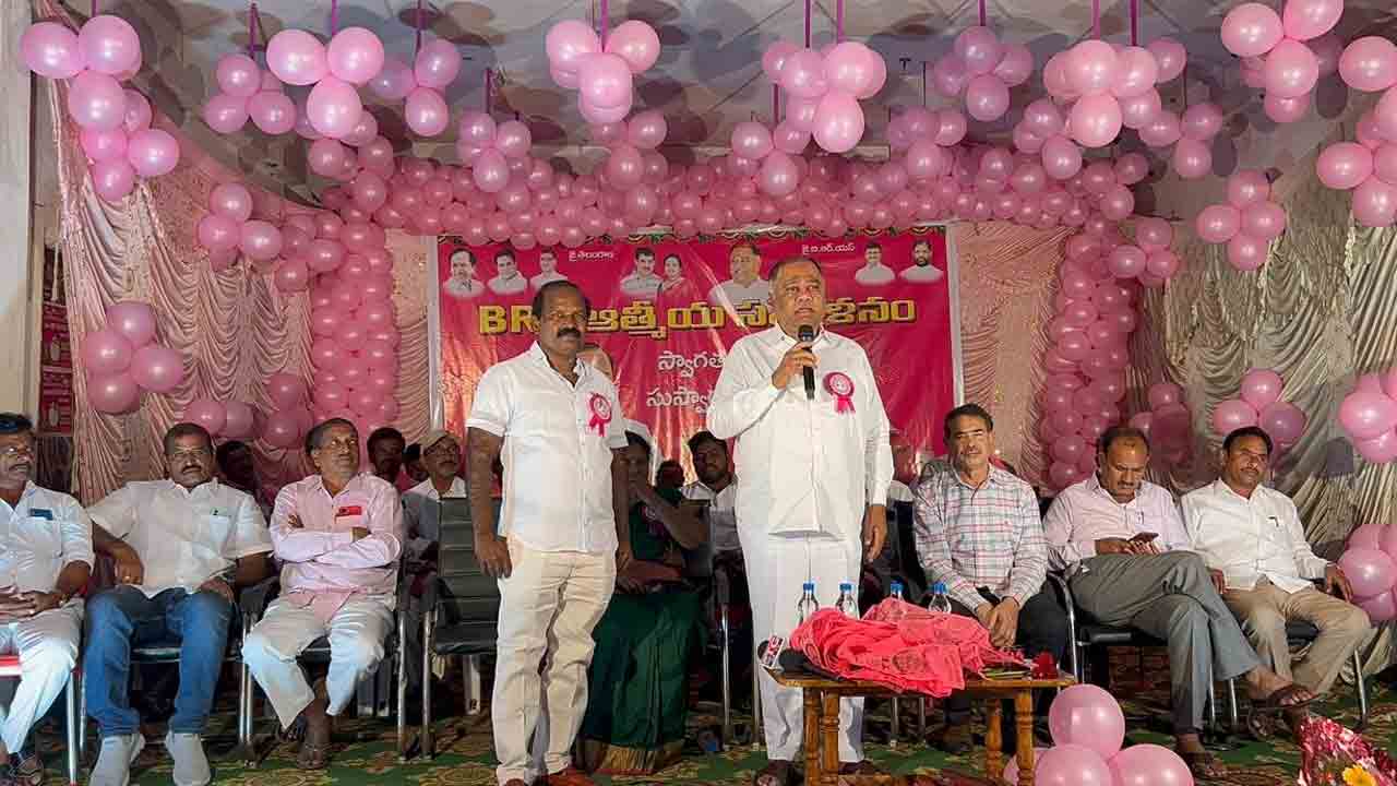 ‘ప్రాదేశికం’లో ఎగిరేది గులాబీ జెండానే..