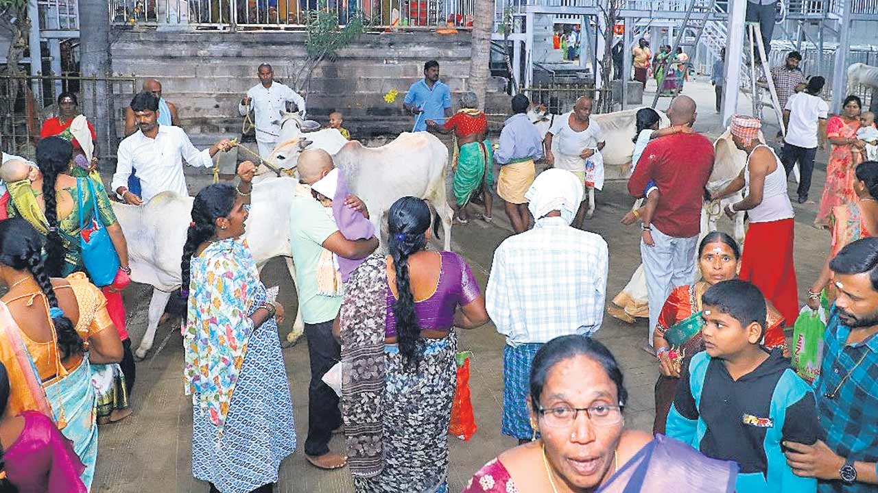 ‘రాజన్నా’ ఇదేం గోస?