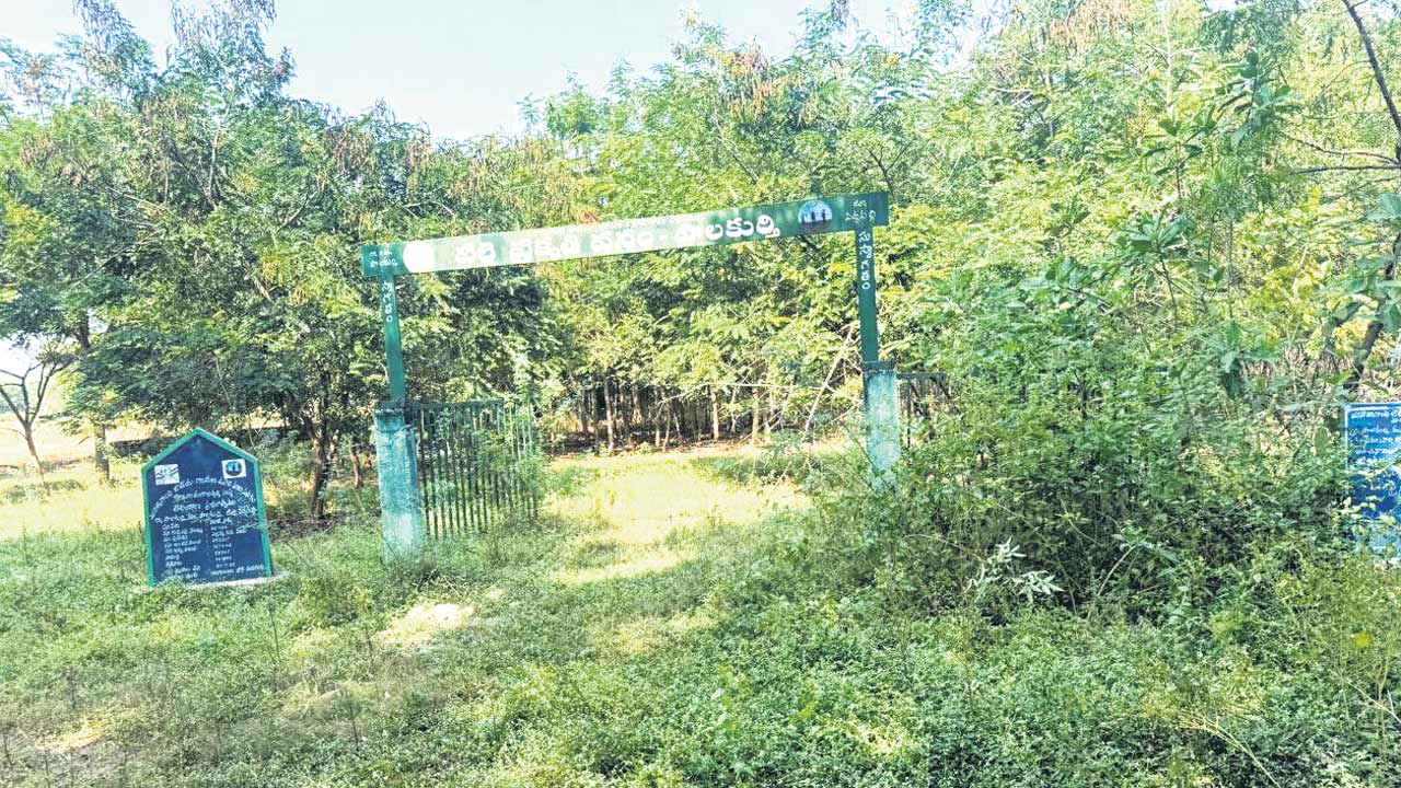 వనాలన్నీ పోర్క పొర్క