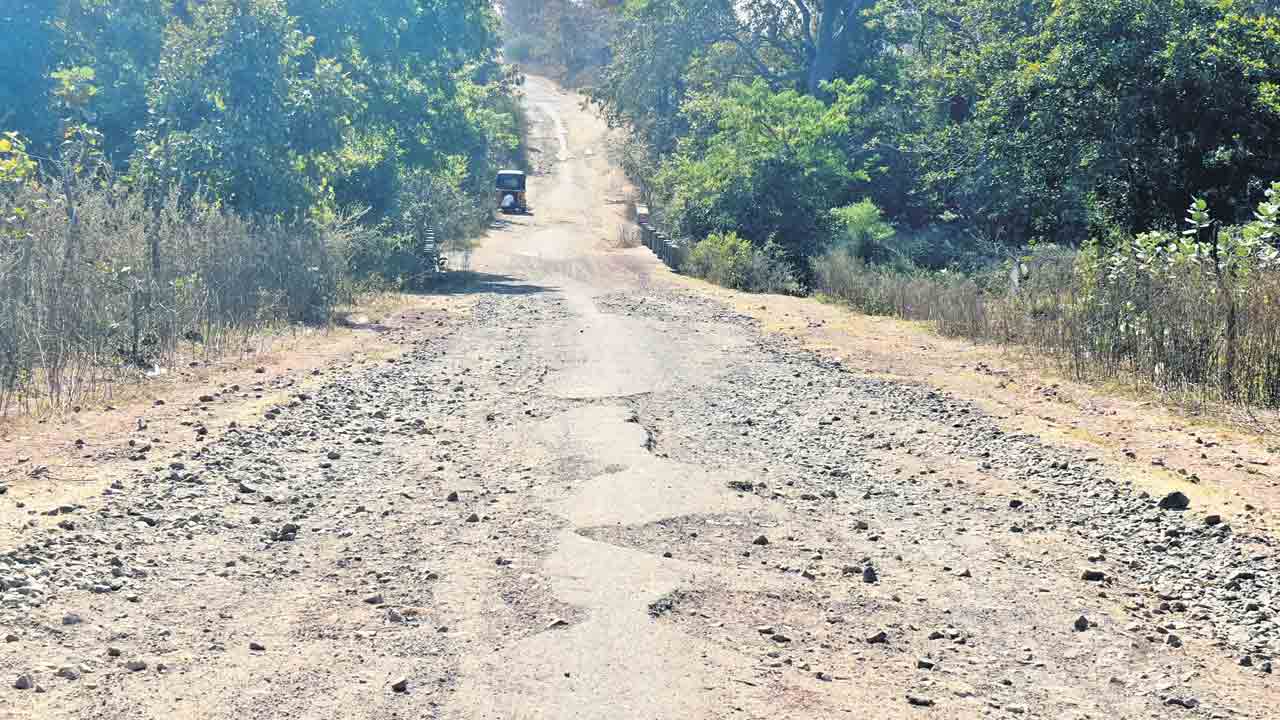 నాగోబా దారి జాతర.. గుంతలు పడి.. కంకర తేలి..