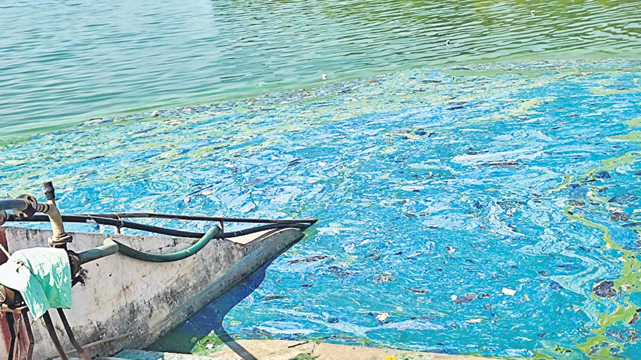 కృష్టమ్మ గర్భం.. విష భాండం