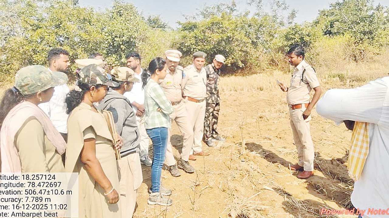 పెద్దపులి సంచారం