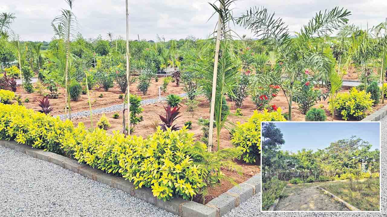 నాడు కళకళ.. నేడు వెలవెల