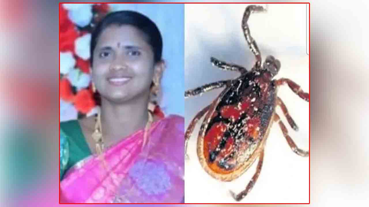 Scrub Typhus | ఏపీలో కొత్త పురుగు వ్యాధి కలకలం..అనారోగ్యానికి గురై మహిళ మృతి