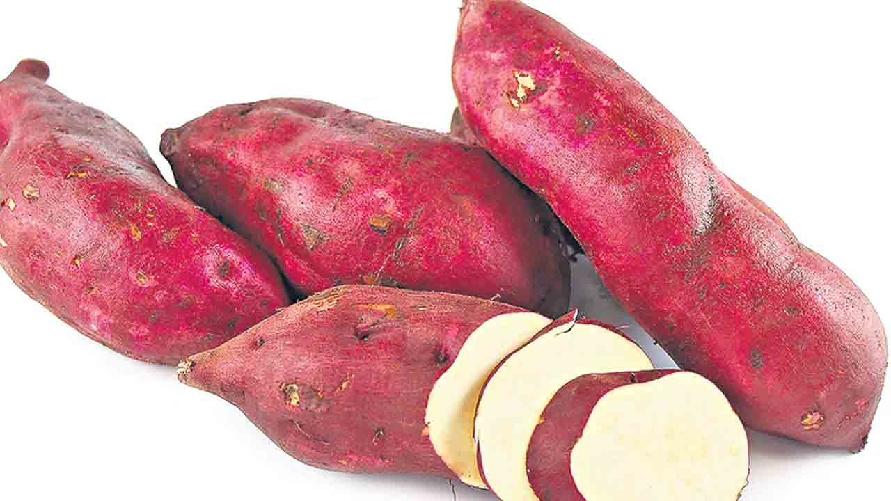 చిలగడదుంప.. లేదిక చింత!