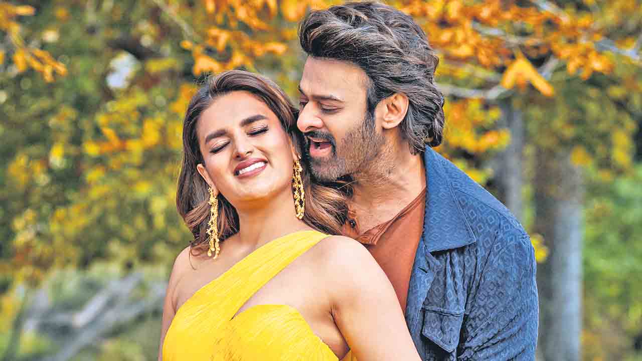 నా వధువిక నువ్వే అంటూ ముడులను వేసేనా..