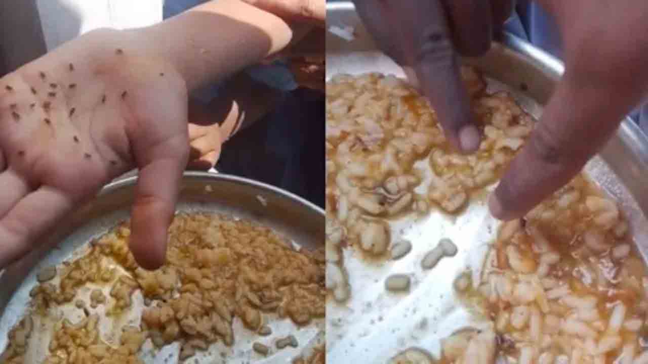 Worm Infested Rice | కర్ణాటక మధ్యాహ్న భోజనంలో పురుగులు.. విద్యార్థులు ఆందోళన