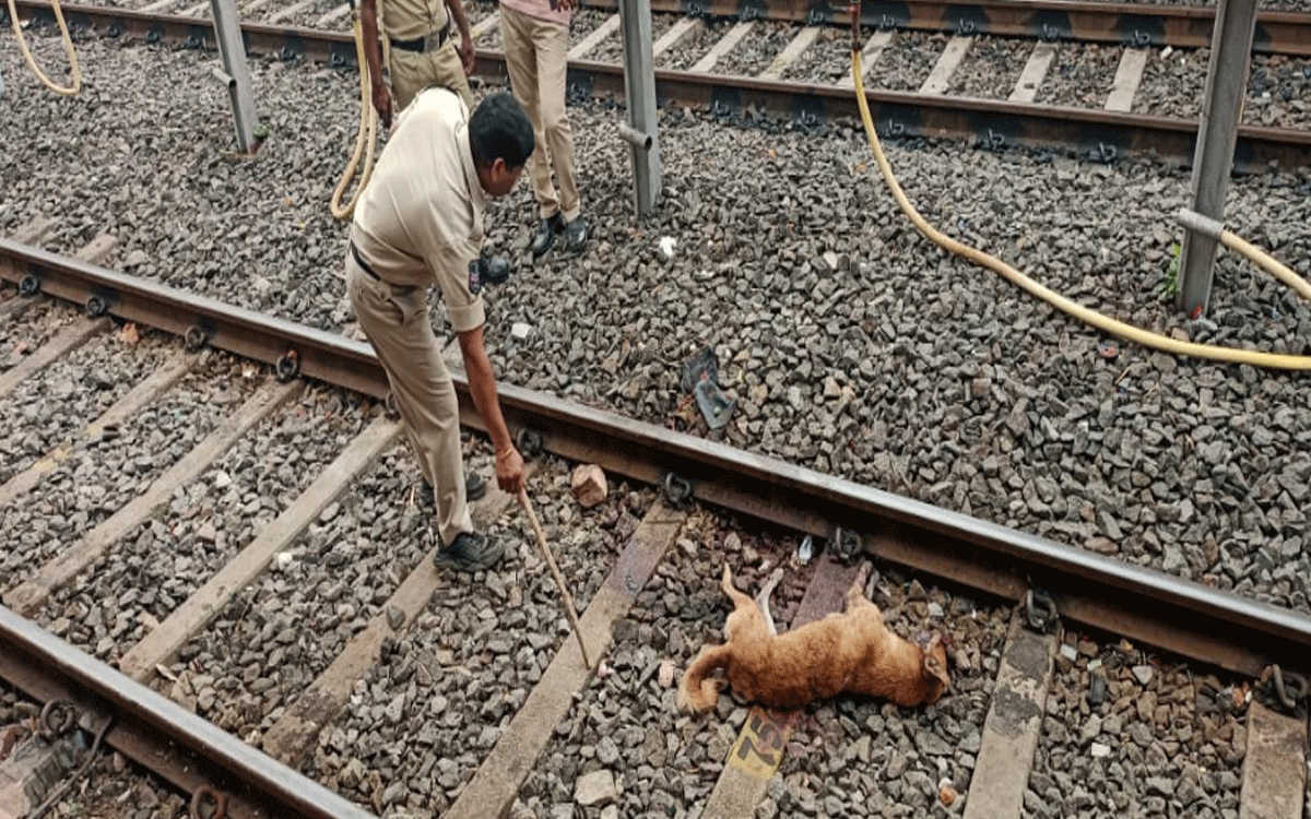 Bhadradri Kothagudem : భద్రాద్రి కొత్తగూడెం రైల్వే స్టేషన్‌లో నాటు బాంబుల కలకలం