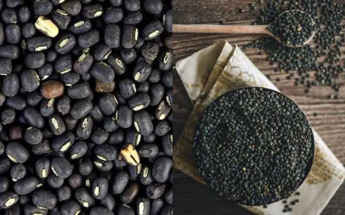 Black Gram | మినుముల‌ను త‌ర‌చూ ఆహారంలో భాగం చేసుకుంటే క‌లిగే అద్భుత‌మైన ప్ర‌యోజ‌నాలు ఇవే..!