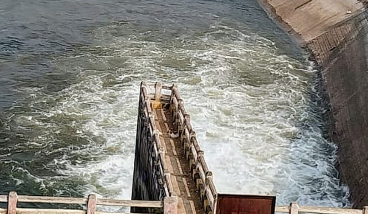 Karimnagar | యాసంగి పంటలకు కాకతీయ పరుగులు.. 31న విడుదల చేయనున్న అధికారులు