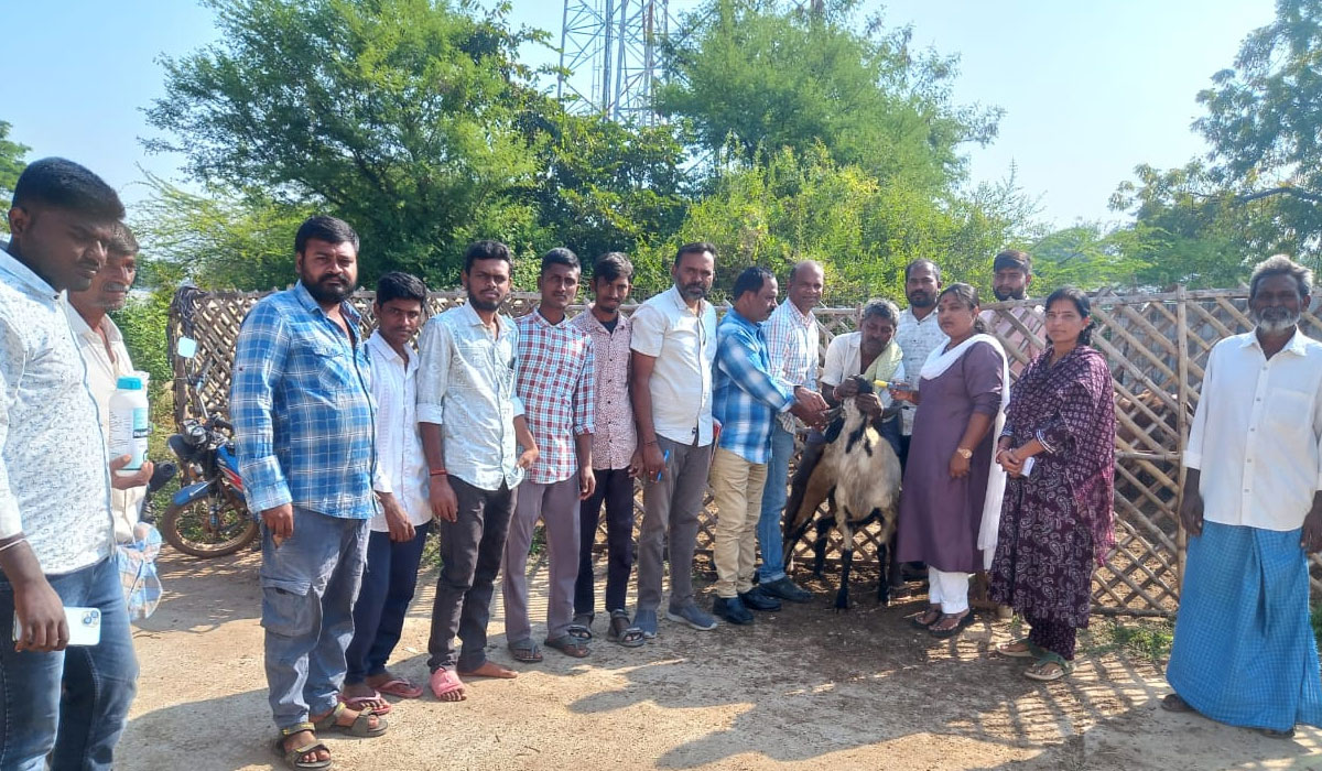Veterinary camps | చిగురుమామిడి మండలంలో పశు వైద్య శిబిరాలు.. పాల్గొన్న పశు వైద్యశాఖ అధికారులు
